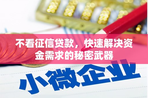 武川不看征信贷款，快速解决资金需求的秘密武器