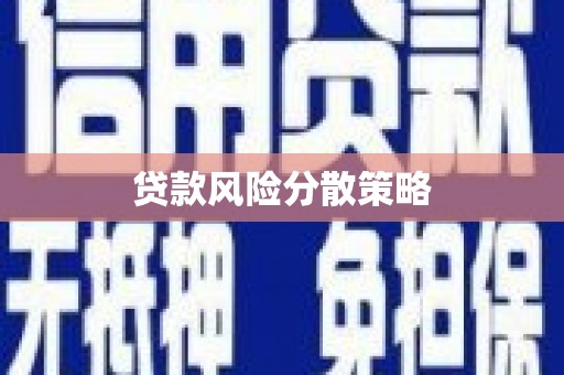 武川贷款风险分散策略