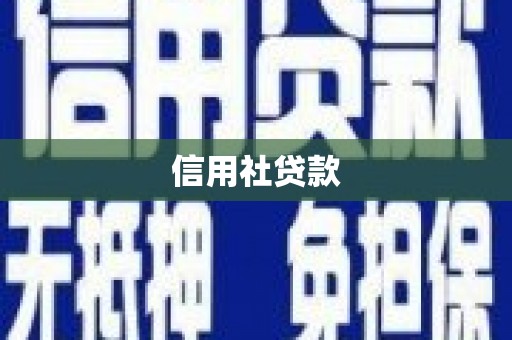 武川信用社贷款