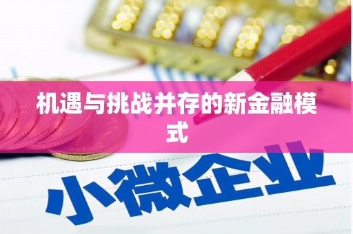 武川机遇与挑战并存的新金融模式