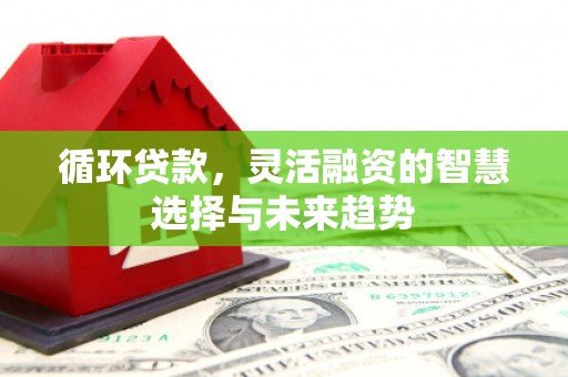 武川循环贷款，灵活融资的智慧选择与未来趋势