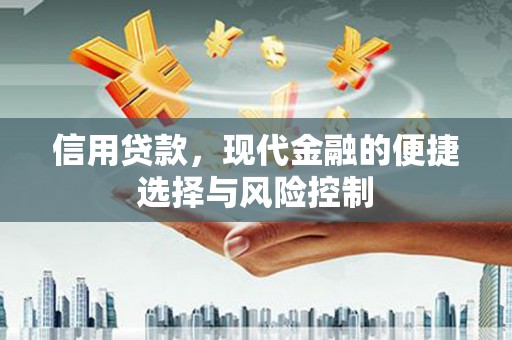 武川信用贷款，现代金融的便捷选择与风险控制