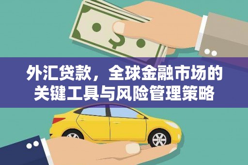 武川外汇贷款，全球金融市场的关键工具与风险管理策略