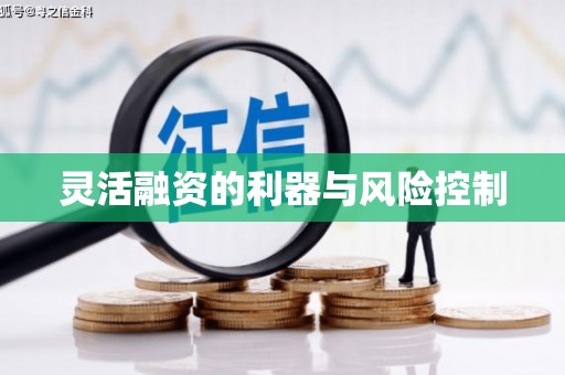 武川灵活融资的利器与风险控制