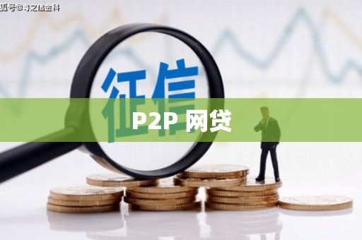 武川P2P 网贷