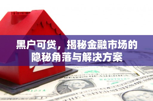 武川黑户可贷，揭秘金融市场的隐秘角落与解决方案