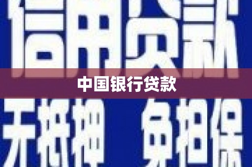 武川中国银行贷款