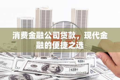武川消费金融公司贷款，现代金融的便捷之选