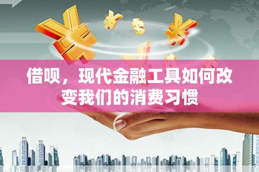 武川借呗，现代金融工具如何改变我们的消费习惯