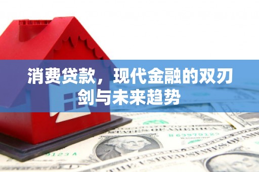 武川消费贷款，现代金融的双刃剑与未来趋势