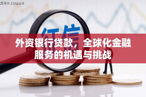 武川外资银行贷款，全球化金融服务的机遇与挑战
