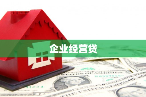 武川企业经营贷