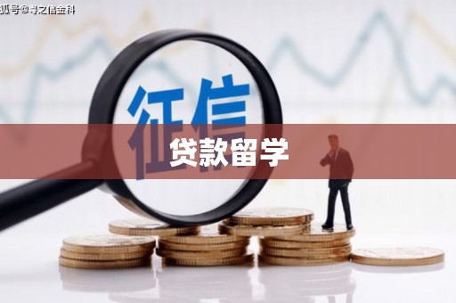 武川贷款留学