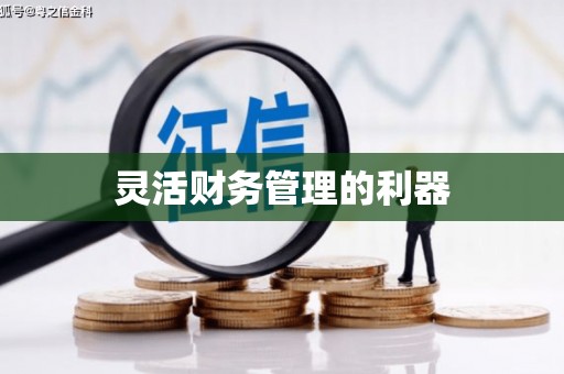 武川灵活财务管理的利器