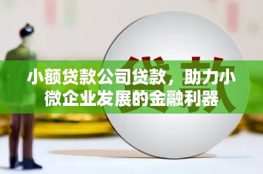 武川小额贷款公司贷款，助力小微企业发展的金融利器