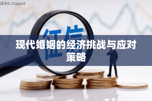 武川现代婚姻的经济挑战与应对策略