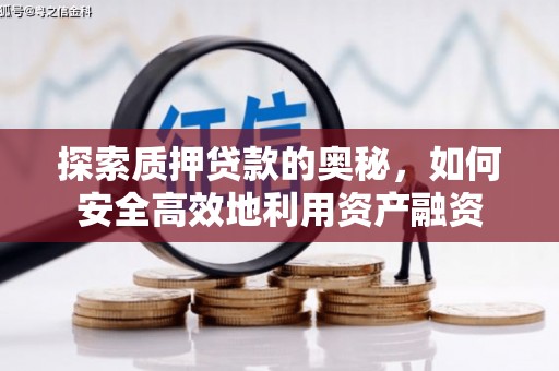 武川探索质押贷款的奥秘，如何安全高效地利用资产融资