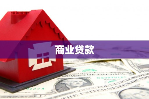武川商业贷款