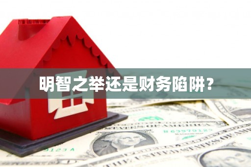 武川明智之举还是财务陷阱？