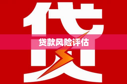 武川贷款风险评估
