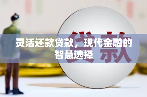 武川灵活还款贷款，现代金融的智慧选择