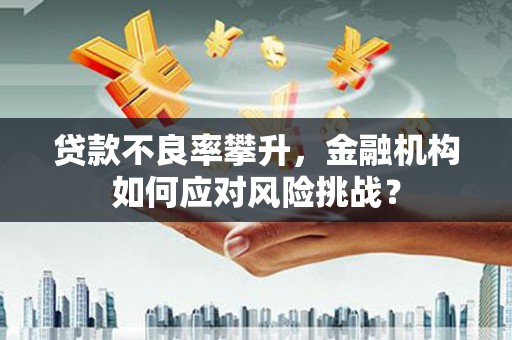 武川贷款不良率攀升，金融机构如何应对风险挑战？