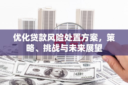 武川优化贷款风险处置方案，策略、挑战与未来展望