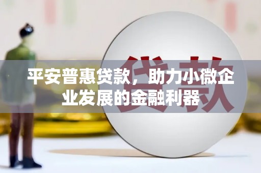 武川平安普惠贷款，助力小微企业发展的金融利器