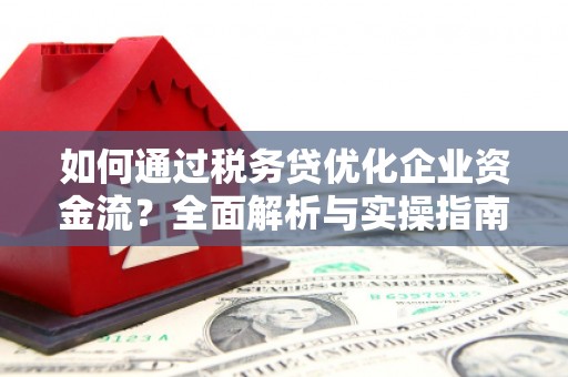 武川如何通过税务贷优化企业资金流？全面解析与实操指南