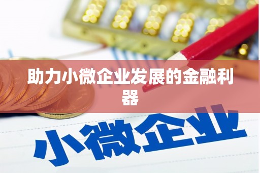 武川助力小微企业发展的金融利器