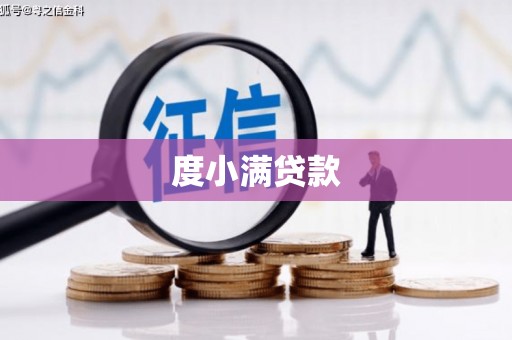 武川度小满贷款