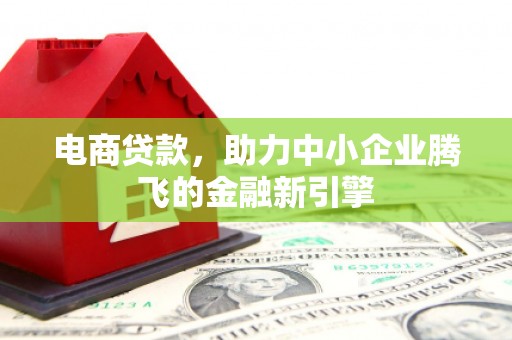 武川电商贷款，助力中小企业腾飞的金融新引擎