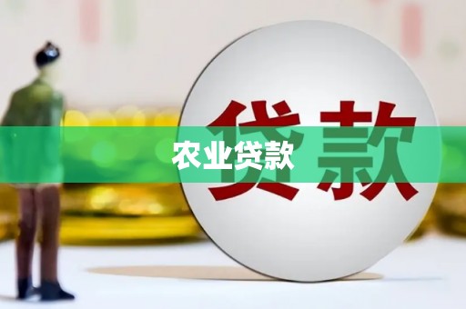武川农业贷款