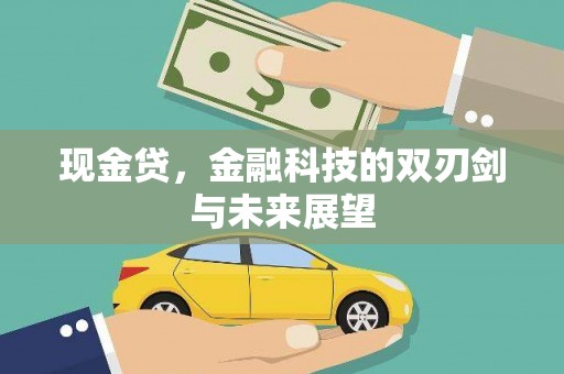 武川现金贷，金融科技的双刃剑与未来展望