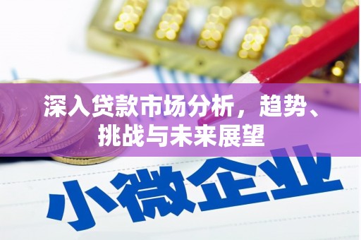 武川深入贷款市场分析，趋势、挑战与未来展望