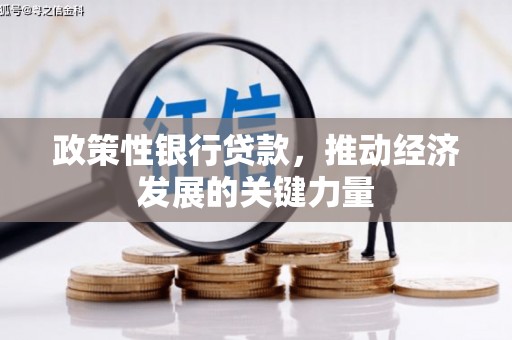 武川政策性银行贷款，推动经济发展的关键力量