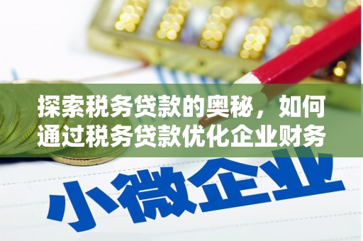 武川探索税务贷款的奥秘，如何通过税务贷款优化企业财务