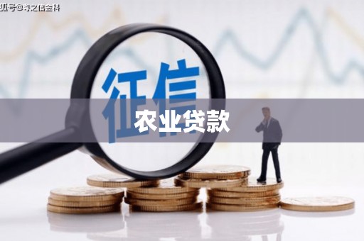 武川农业贷款