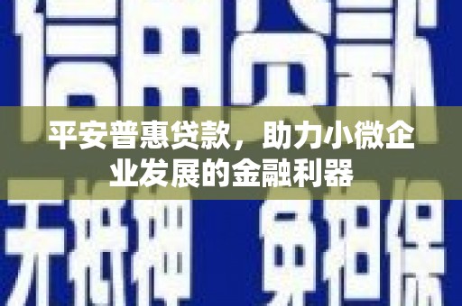 武川平安普惠贷款，助力小微企业发展的金融利器
