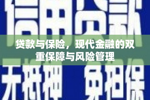 武川贷款与保险，现代金融的双重保障与风险管理