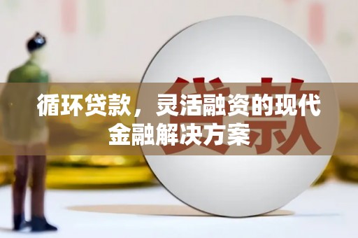 武川循环贷款，灵活融资的现代金融解决方案