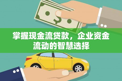武川掌握现金流贷款，企业资金流动的智慧选择