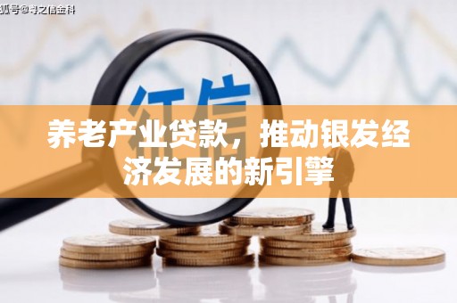 武川养老产业贷款，推动银发经济发展的新引擎