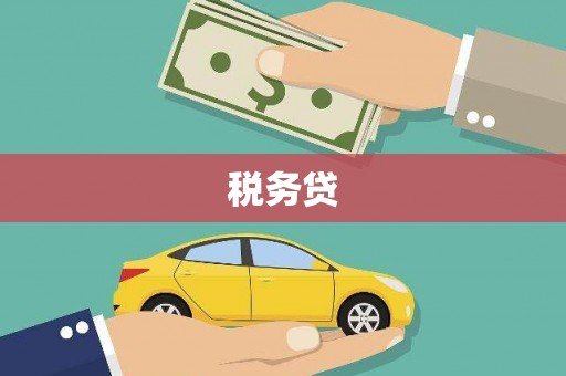武川税务贷