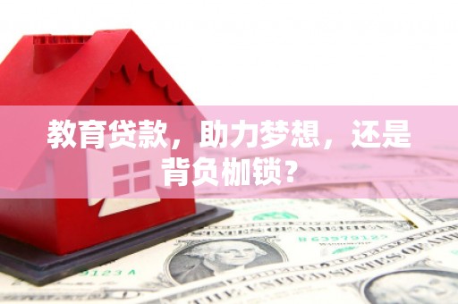 武川教育贷款，助力梦想，还是背负枷锁？
