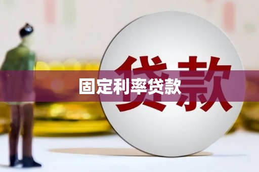 武川固定利率贷款