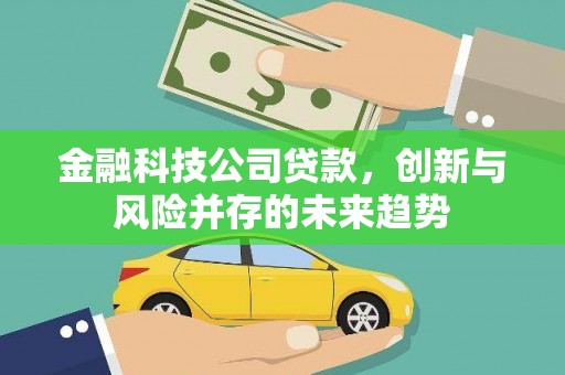 武川金融科技公司贷款，创新与风险并存的未来趋势