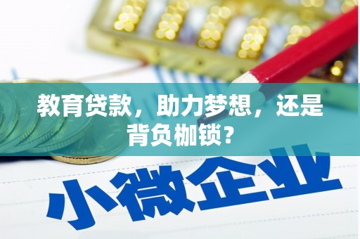 武川教育贷款，助力梦想，还是背负枷锁？