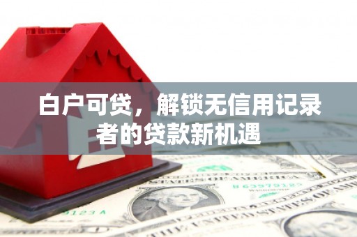 武川白户可贷，解锁无信用记录者的贷款新机遇