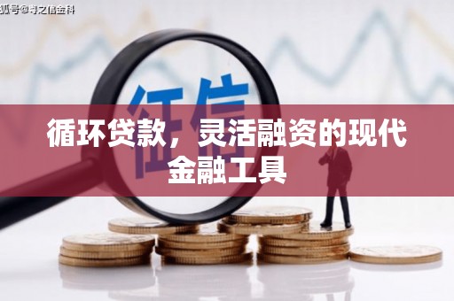 武川循环贷款，灵活融资的现代金融工具
